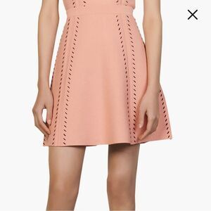 Sandro Eglantine High Waisted Knit Skater Skirt in Pink | Size 10
